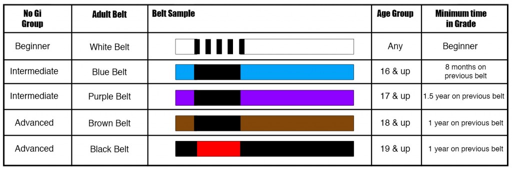 SJJIF - Belt system