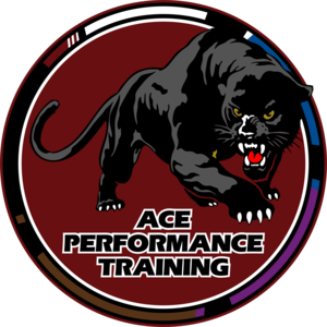 Ace Performance Training